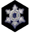 Emoto water crystal produced by 3 mintues on Nature's Design Energy Plates