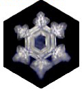 Emoto Water crystal produced by 3 minutes on a Nature's Design Energy plate